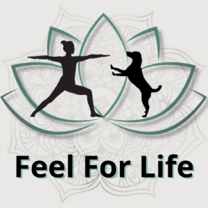 Feel for life - djurkommunikation och yoga för ryttare